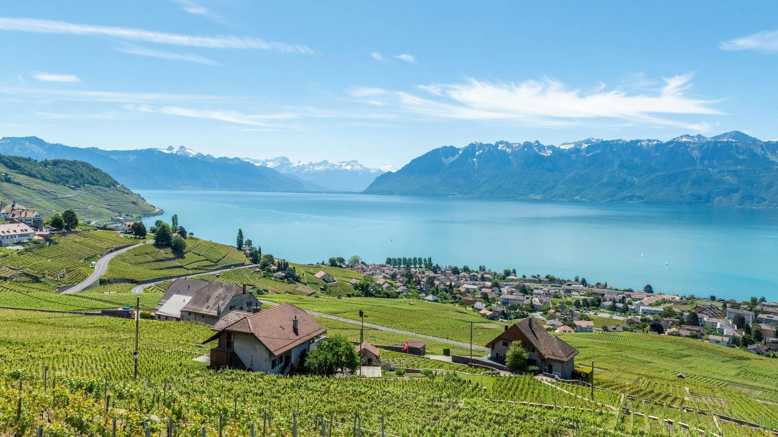 Panoramablick auf das Weinanbaugebiet der Schweiz, den Genfersee und die Alpen im Hintergrund, bei strahlendem Sonnenschein.
