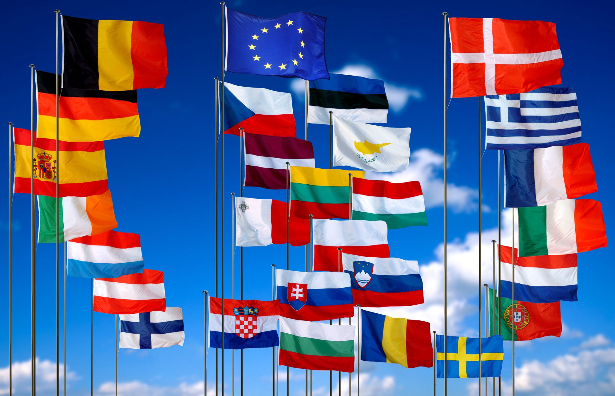 The picture shows the flags of the EU member States.