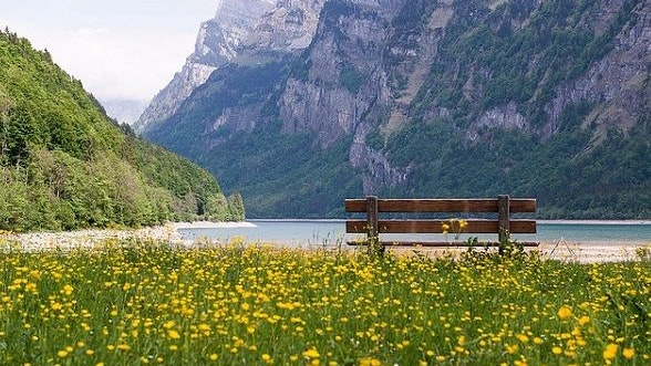 Banc sur une prairie dans les montagnes.