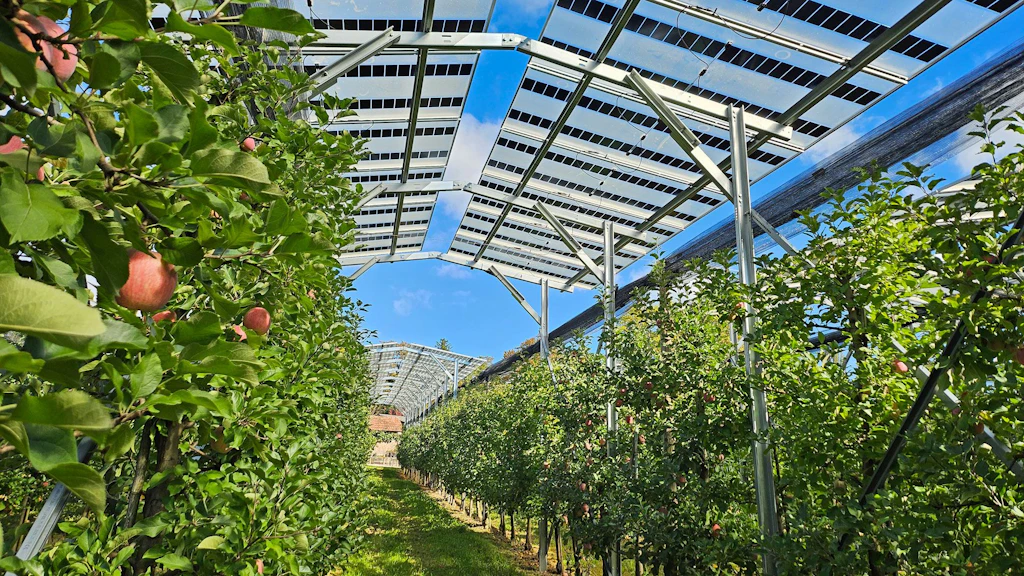 L'impianto agrifotovoltaico raffigurato in Slovenia è composto da due tipi di pannelli fotovoltaici che lasciano passare rispettivamente il 54 % e il 70 % della luce.