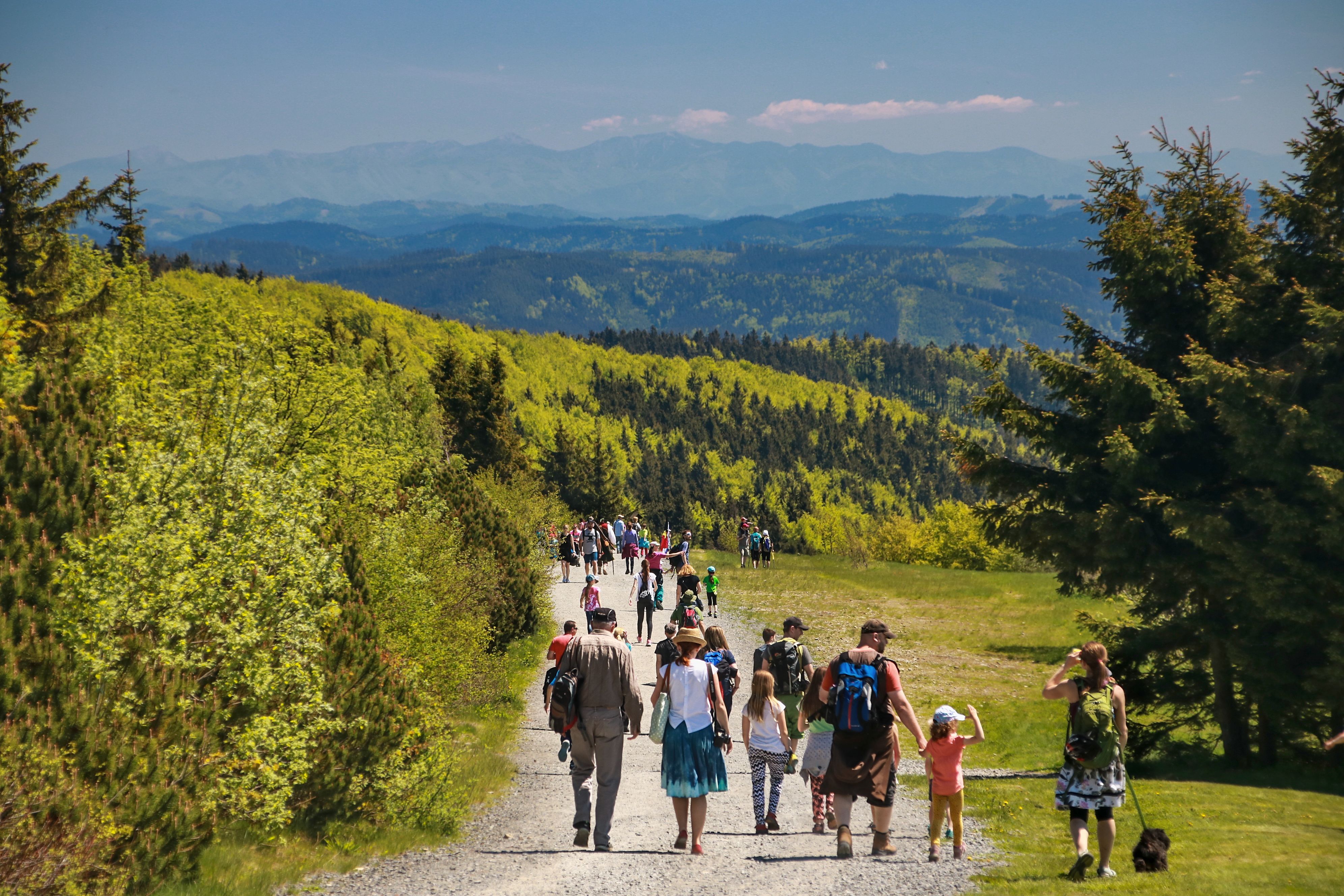 Persone che camminano in un ambiente verde.